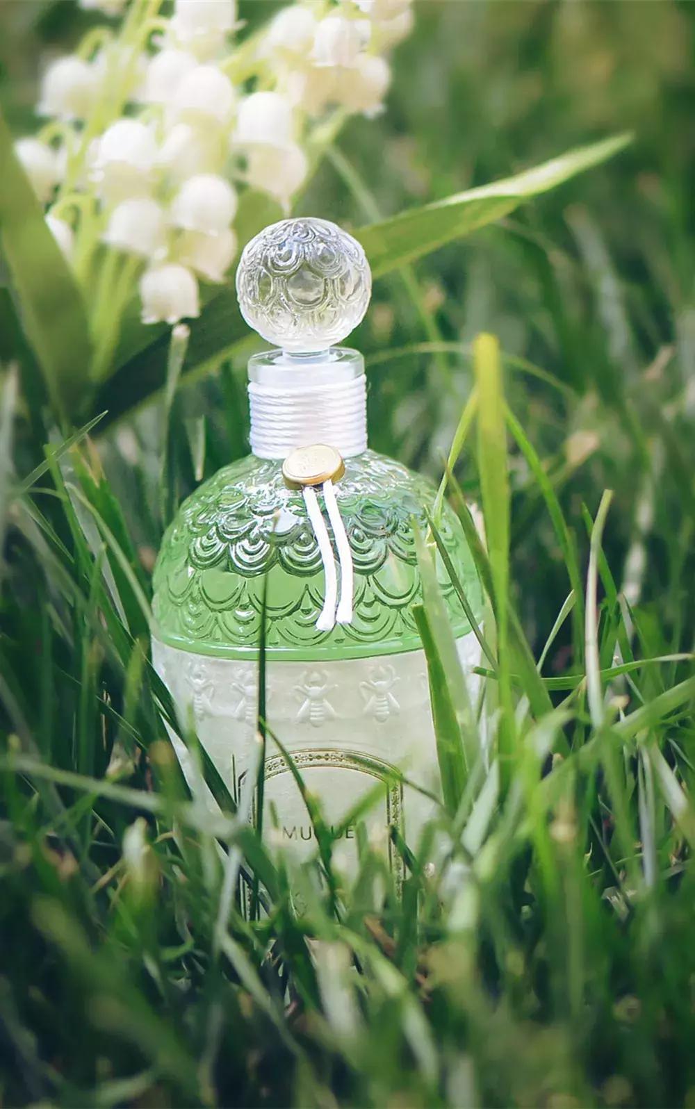 娇兰铃兰香水系列,娇兰铃兰香水哪一年的味道最好闻