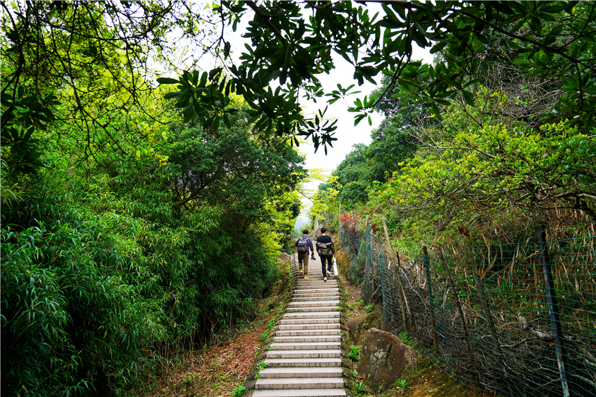 江南水乡旅游攻略四天三晚,温州旅行攻略四天三夜