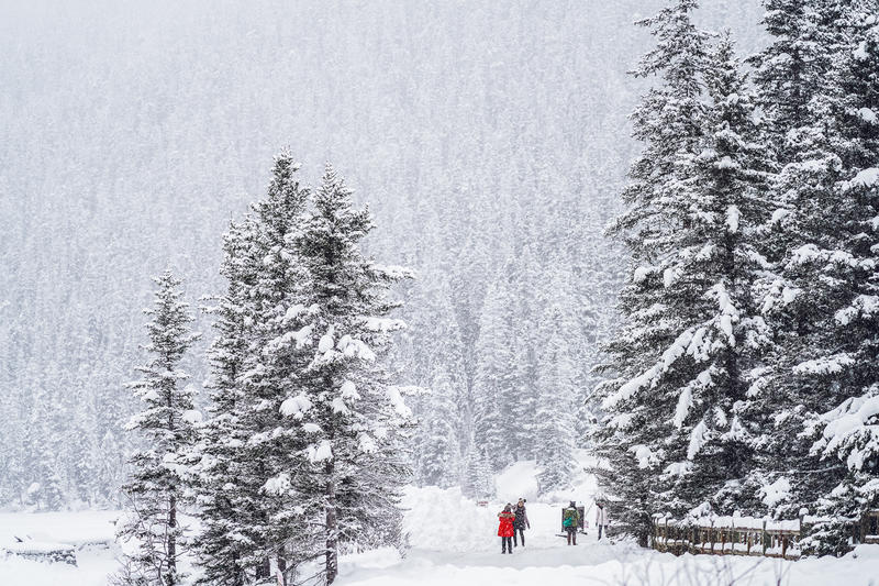 加拿大魁北克冰雪节,加拿大艾伯塔省节