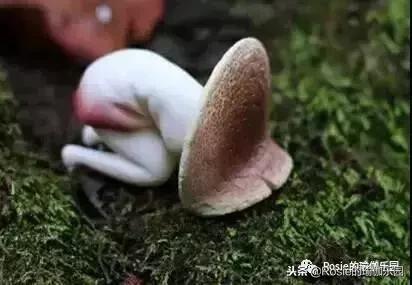 许一个新年愿望：不要痛经……