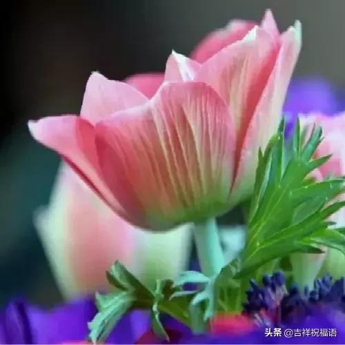 经典永远堪称经典,经典中的经典回味经典