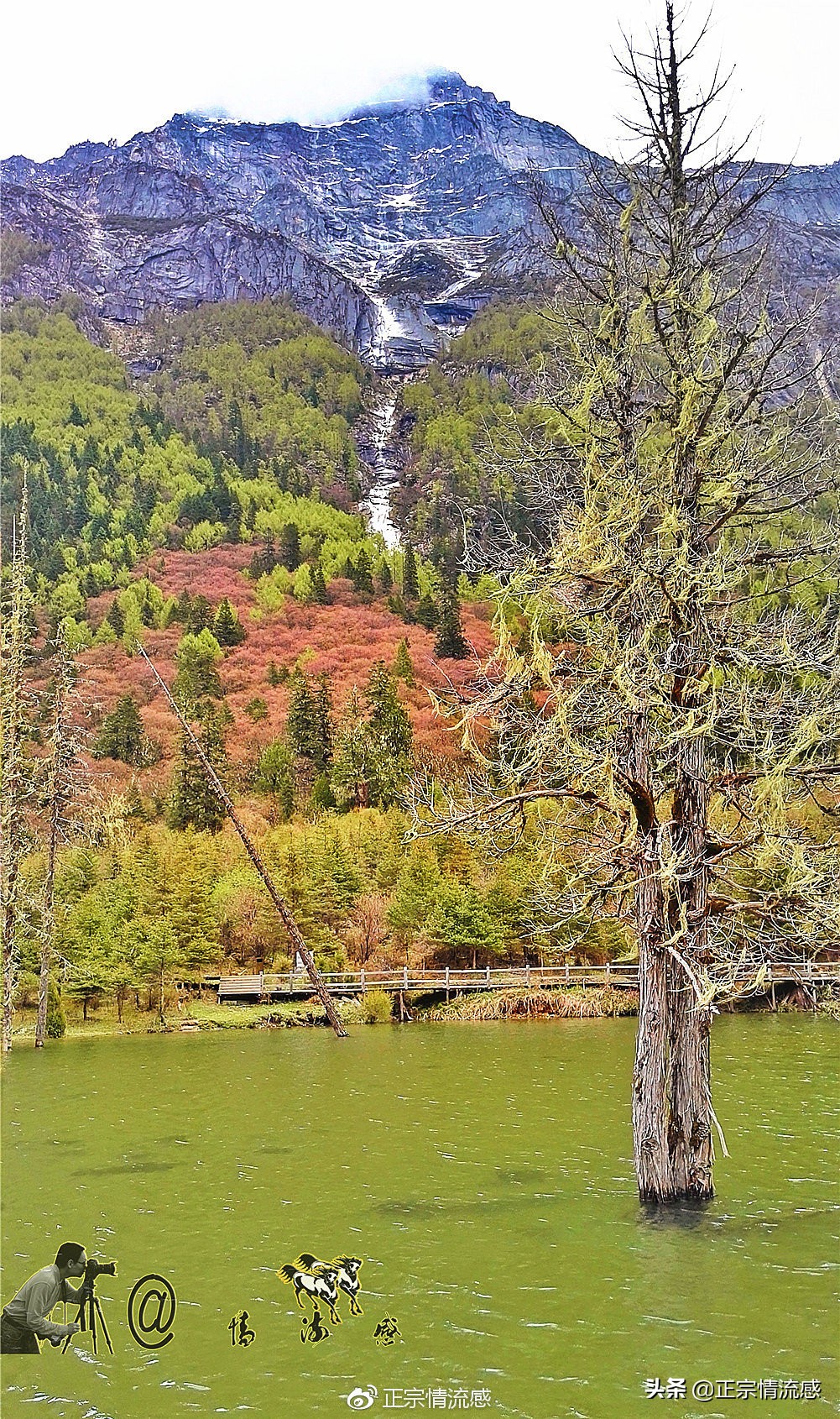 夜色成都串串爽，魅力小金苹果香#国庆中秋趣哪玩#