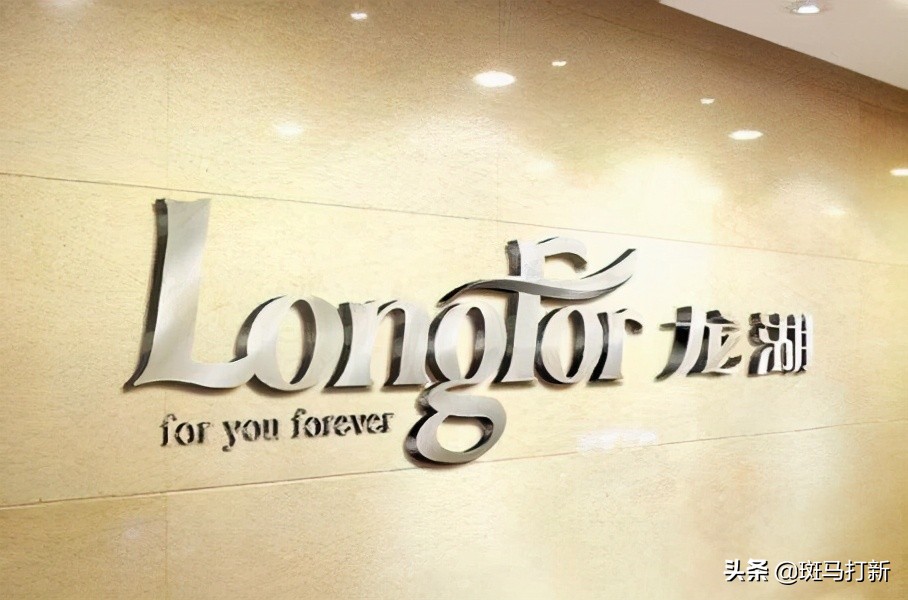 龙湖集团企业文化和愿景,龙湖集团上市基本信息