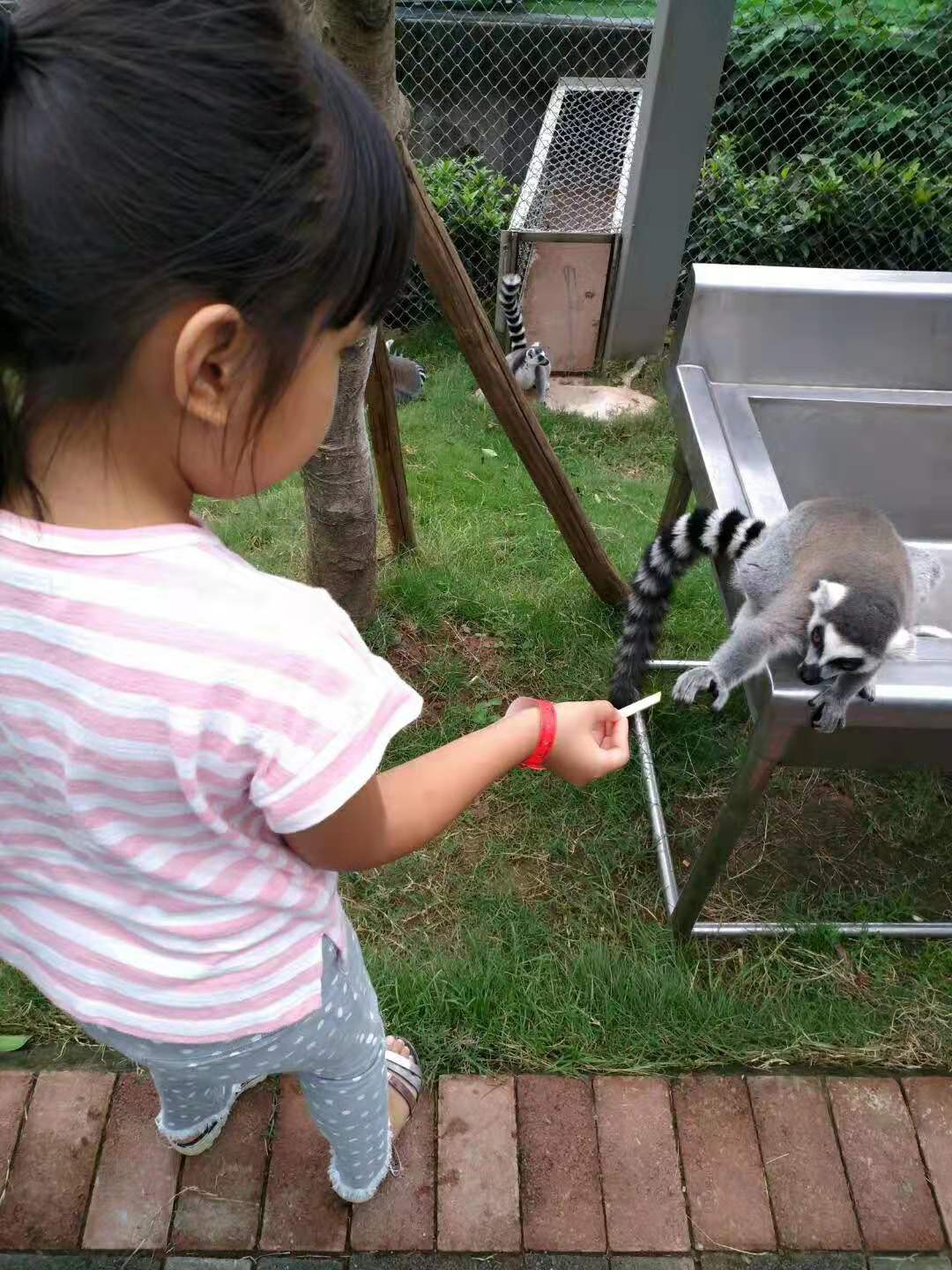带着孩子在永川野生动物园一日游,重庆永川野生动物园攻略