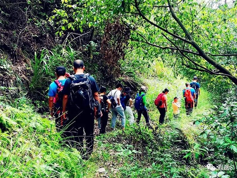 乐清仙溪有哪里好玩的 (乐清仙溪镇景点)