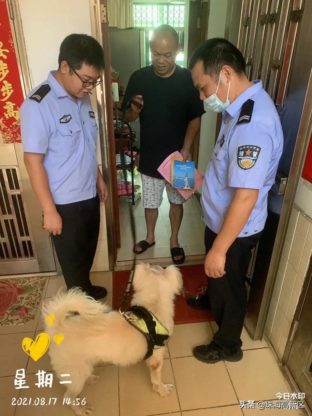 铲屎官请注意文明养犬妙招看这里,铲屎官养狗必看知识