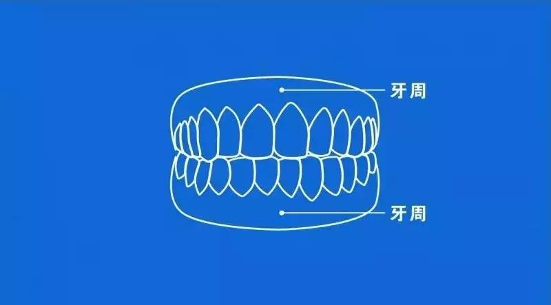 你需要去做个牙齿矫正是什么意思,为什么要做牙齿正畸