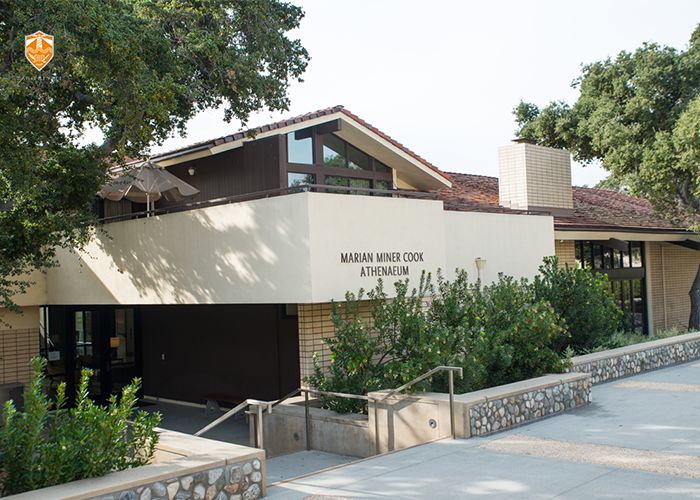 非诚勿扰36岁女嘉宾大学教授,非诚勿扰加州理工