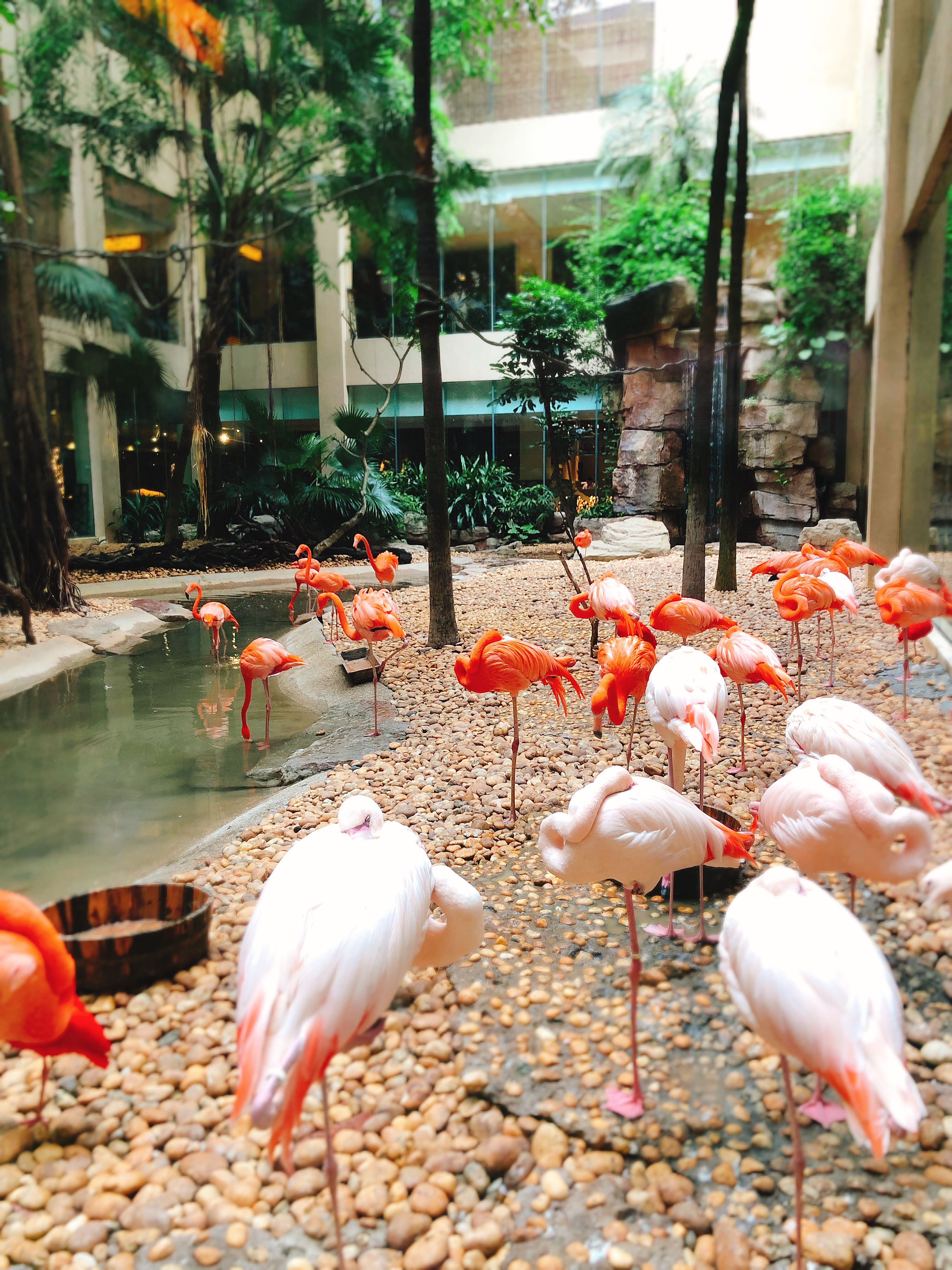 2-3天短途亲子游广东长隆,一家三口广州长隆旅游攻略