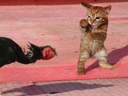 经典语录搞笑幽默句子短句,正能量霸气幽默短句子搞笑版