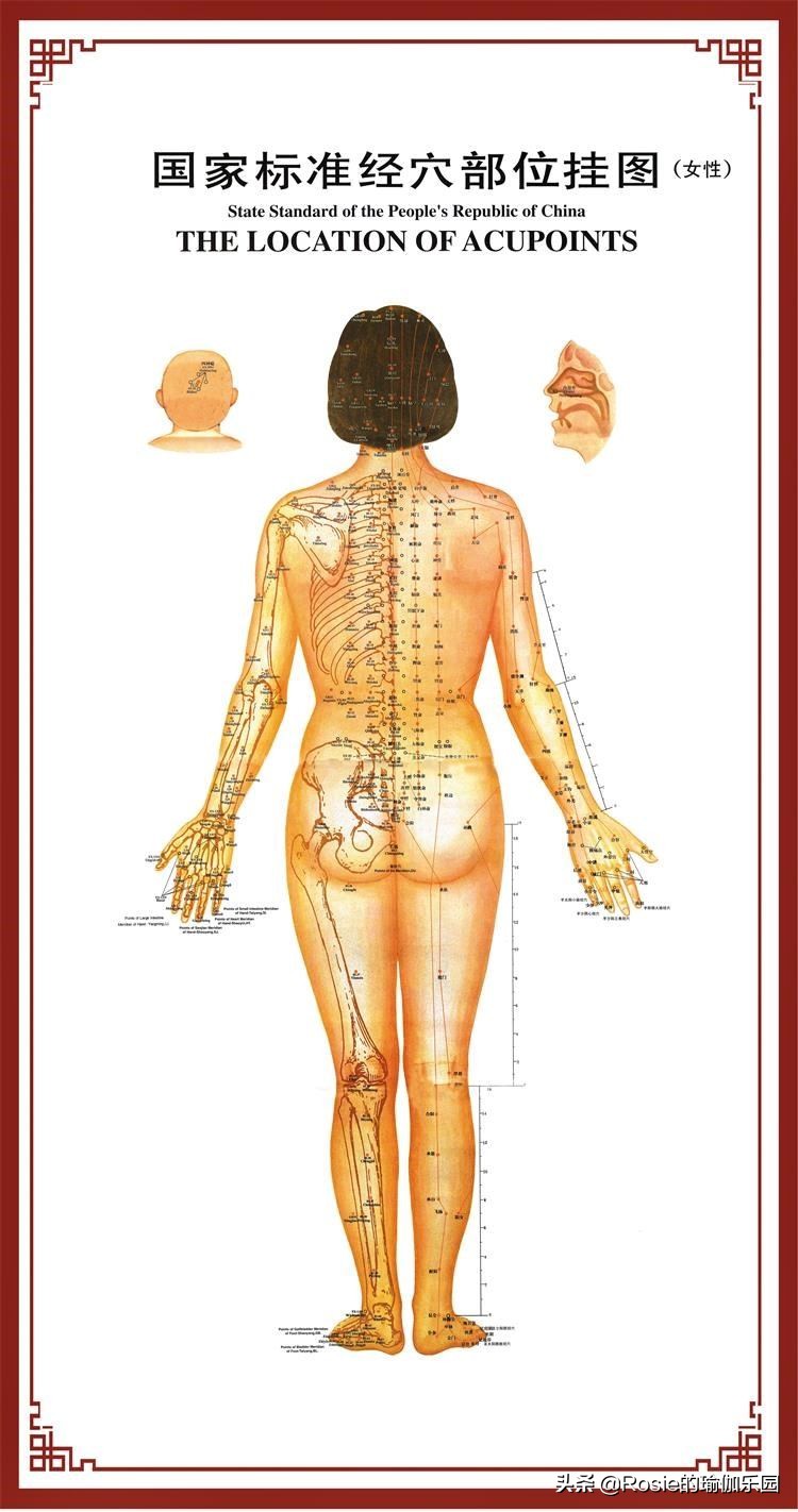 央视主持天团齐练瑜伽？睡前4min阴瑜伽，消肿、瘦腿、疗愈身心