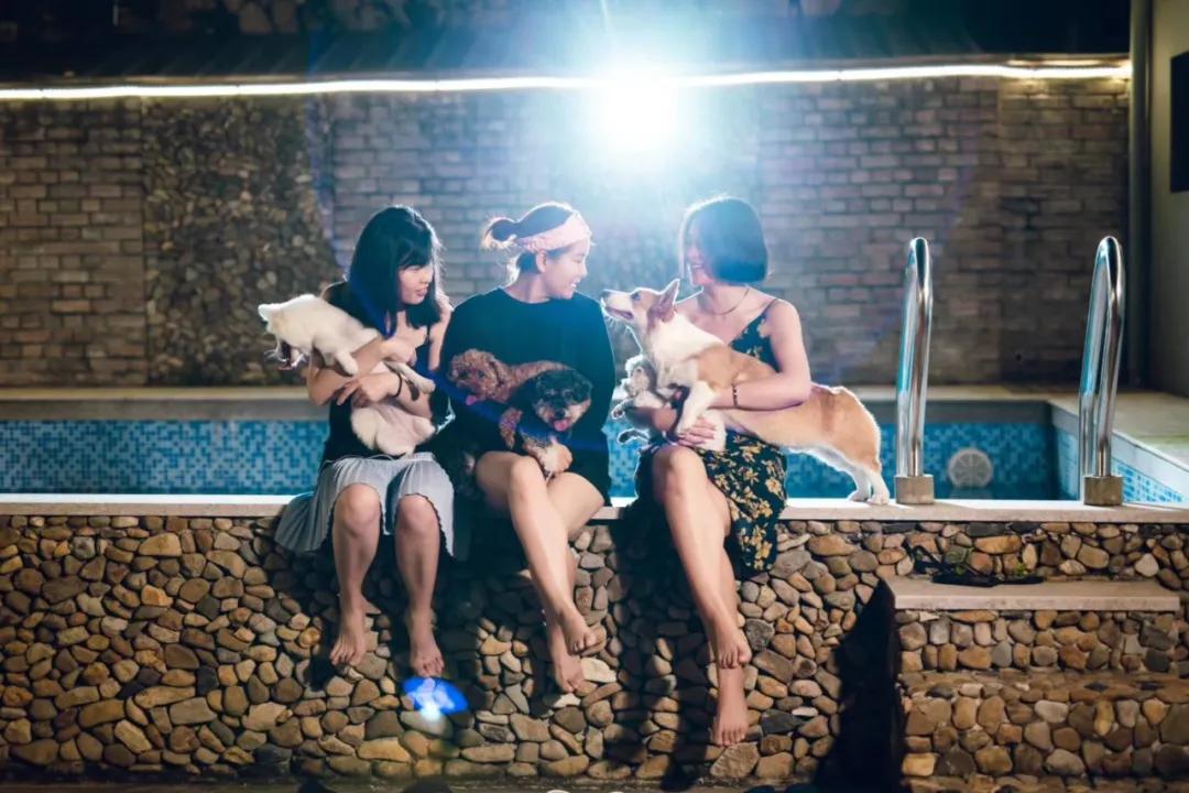 带着十一只狗狗去旅行,带着四只狗狗去旅行