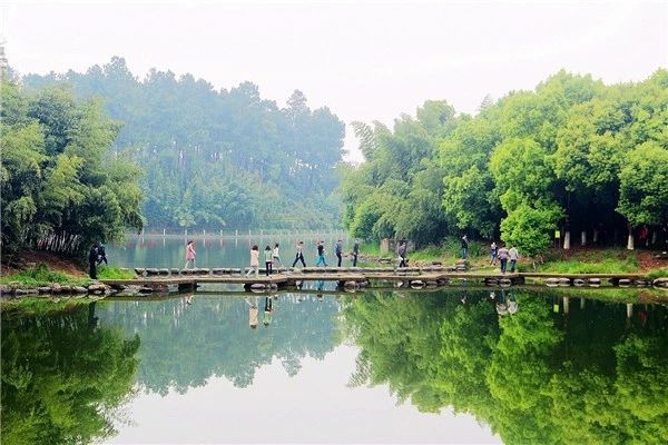 浙江最值得去的13家亲子酒店,安吉最赞的亲子酒店