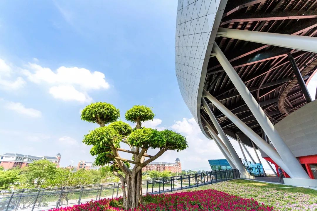 全域旅游星空屋顶“砚生水墨”.来肇庆新区体育中心领略现代美学