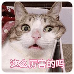 26个英语字母的来源视频讲解,26个英文字母和26个音标