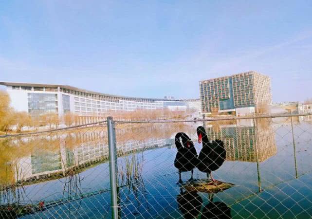 河南医学类最好的大学，男女生比例三比七，拥有“亚洲第一长楼”