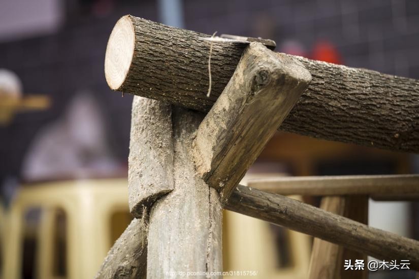 木材本身什么味道,未见其木先闻其味什么意思