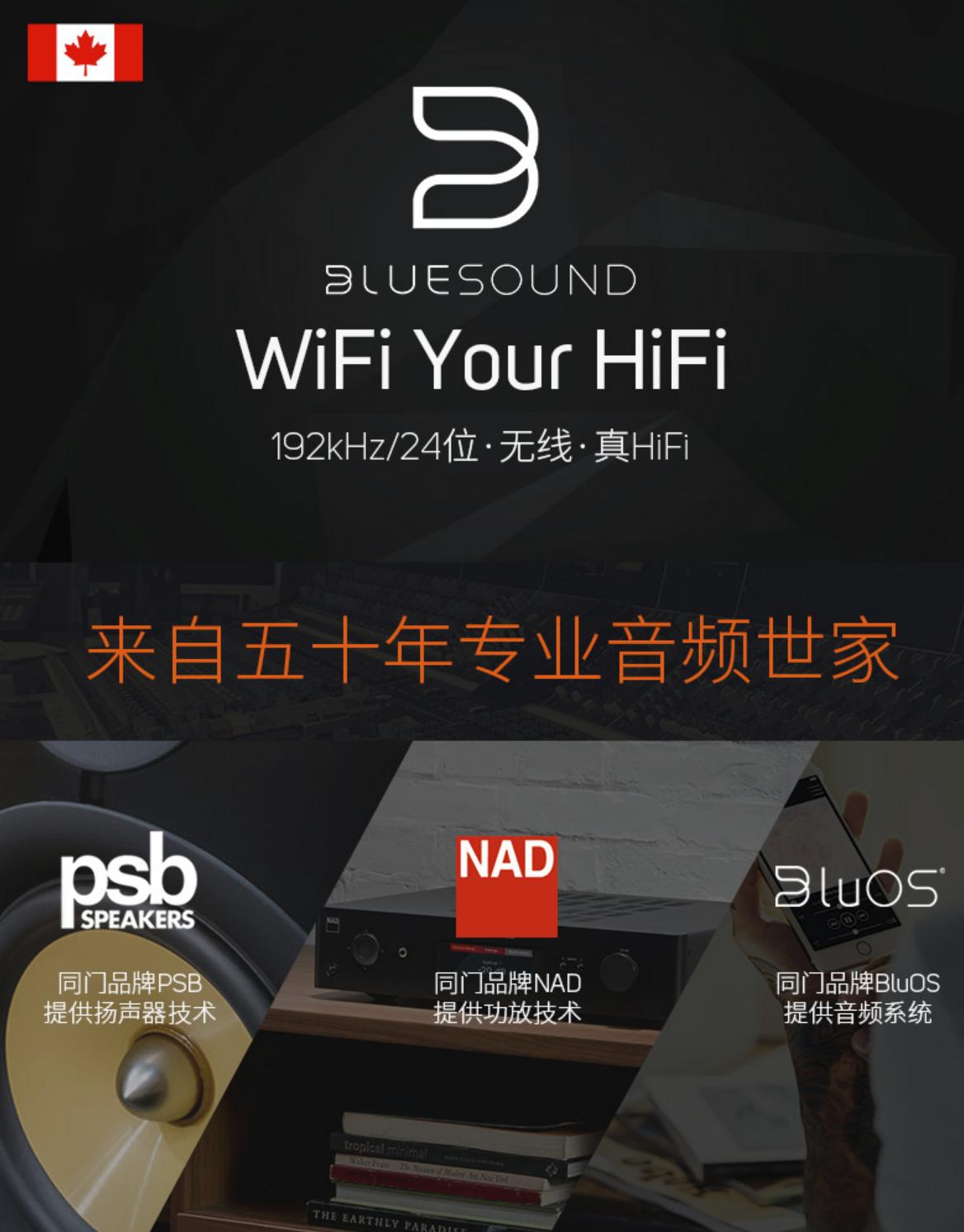 小身材有大内涵，好音箱就该如此：BluesoundPULSEFLEX2i体验分享