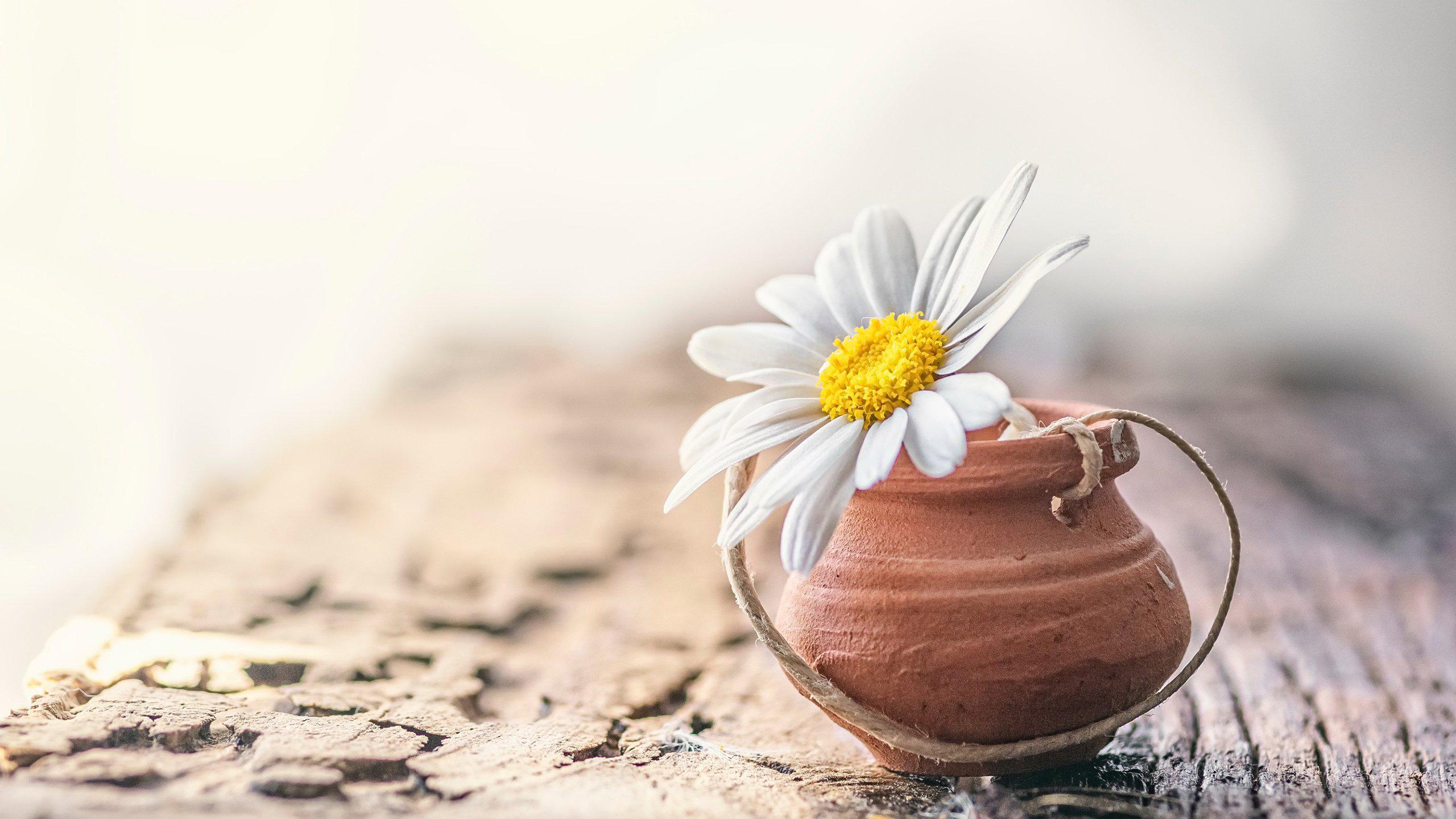 聪明女人投资自己,什么样的投资适合自己