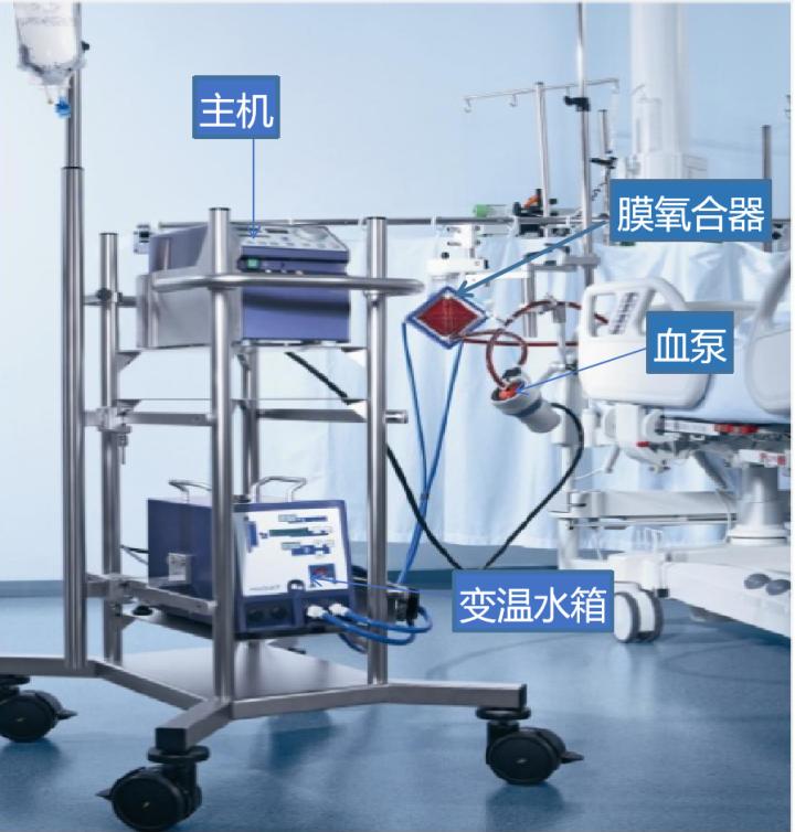 新冠肺炎重症患者能治愈好吗,新冠肺炎重症患者的临床治疗