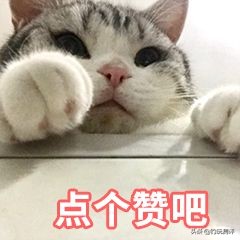 海龙王3260鱼竿大物竿精华版测评,海龙王3260纪录版鱼竿净重多少