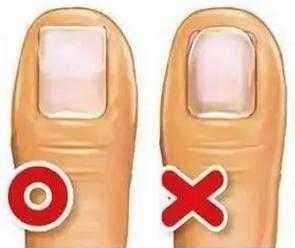 国内军工企业生产的指甲刀,军用钢材做菜刀