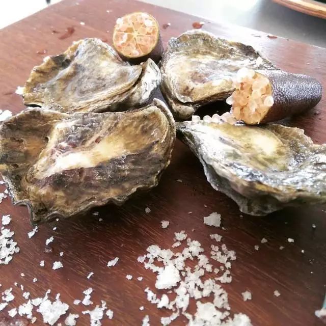 新西兰生蚝泛滥成灾,澳大利亚生蚝泛滥成灾