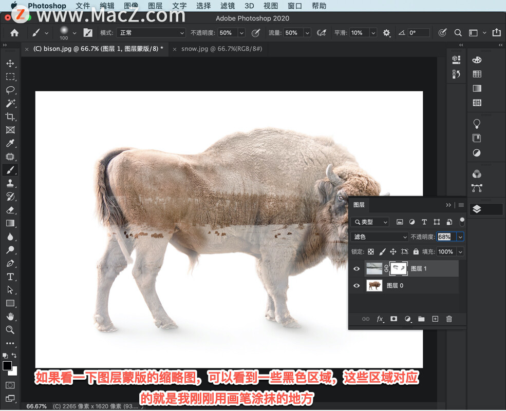 ps中怎么创建选区,ps教程百张相片
