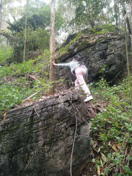 南宁隐藏的景点,南宁周边农家乐游玩景点推荐