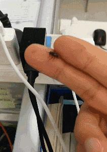 开心一刻gif搞笑动图,搞笑gif段子看起来能量满满