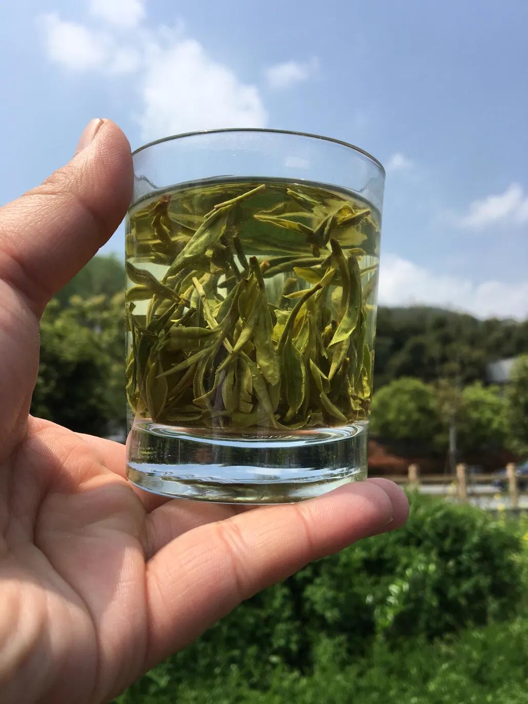 如何挑选西湖龙井茶,杭州西湖龙井茶价格