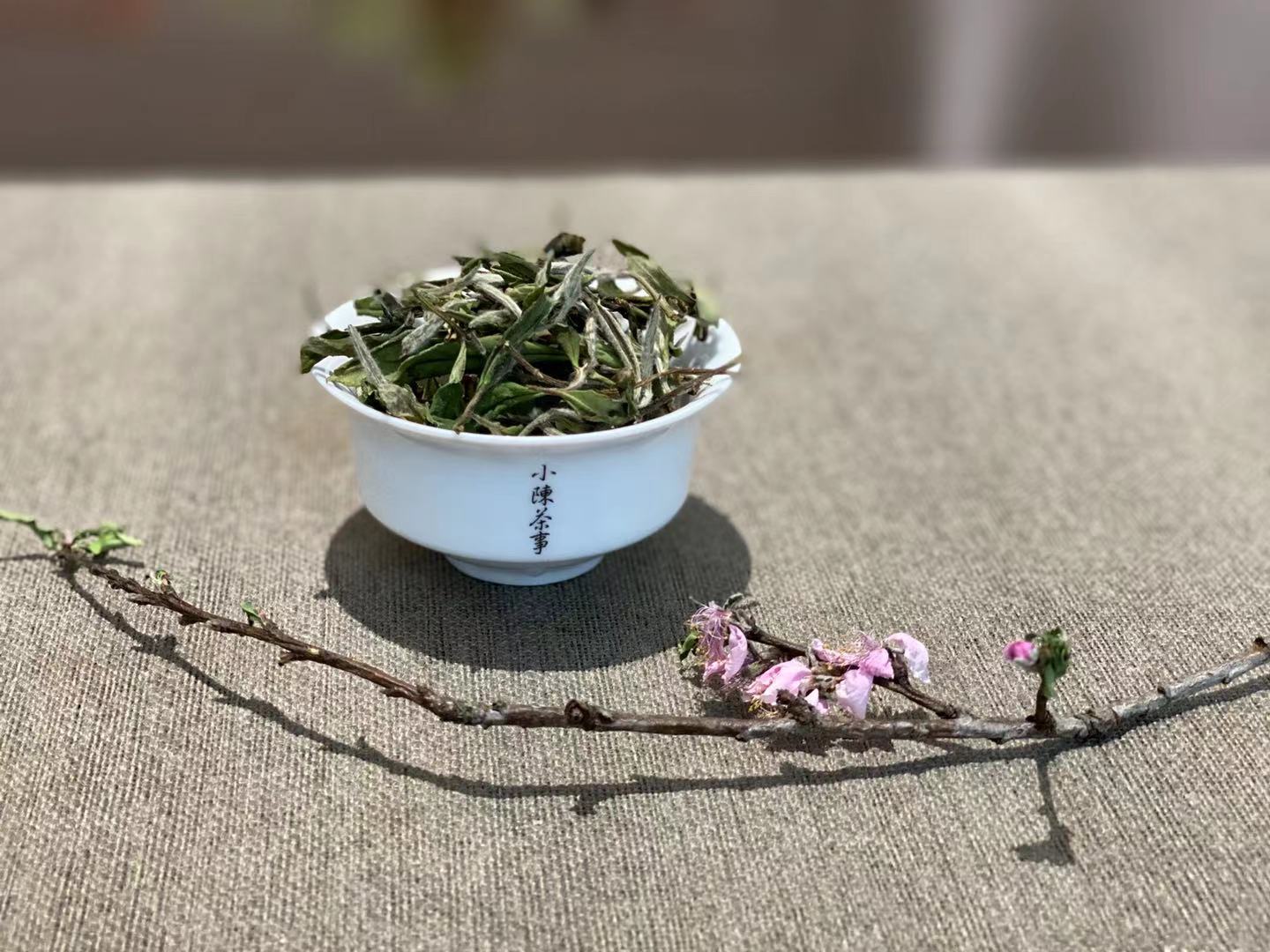 茶友们所热捧的老白茶究竟是什么,为什么有的白茶怎么泡都不苦涩