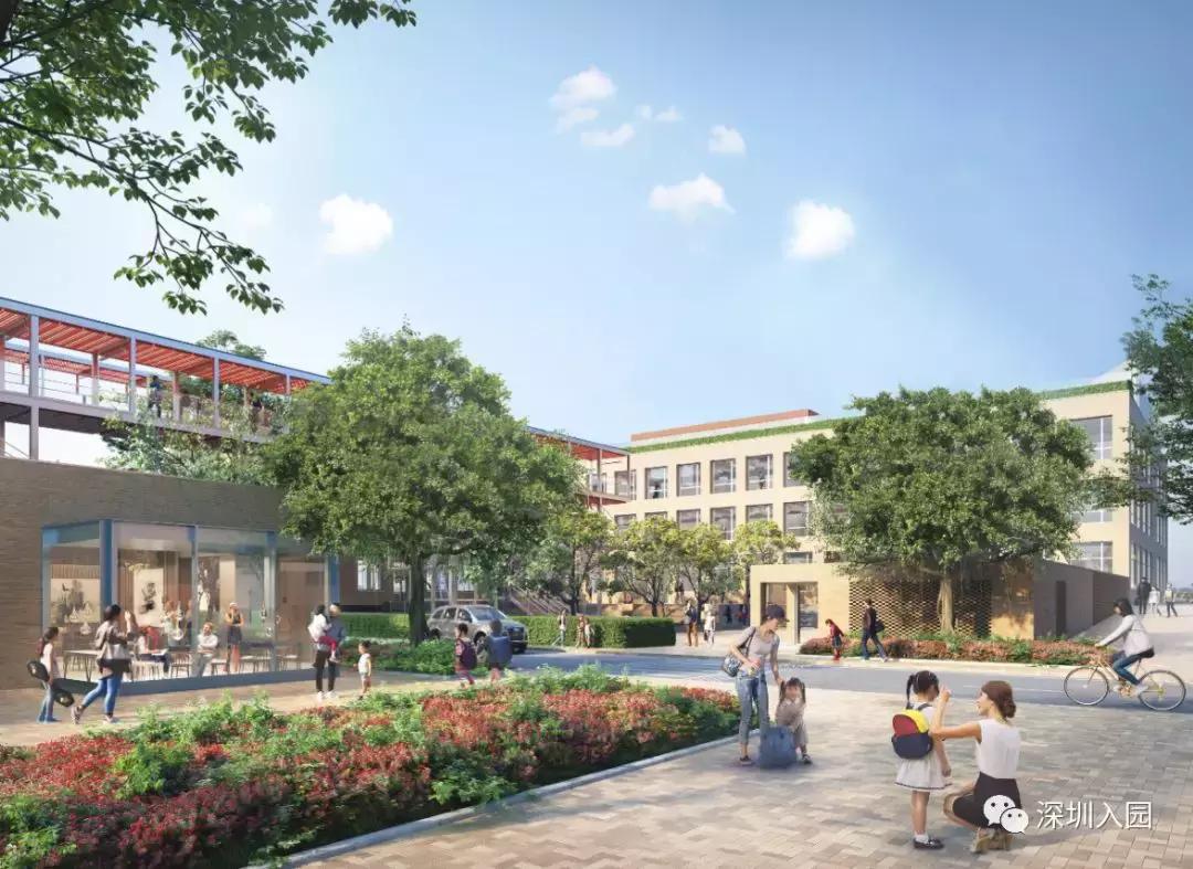 年薪50万以下不要上的幼儿园,深圳公立幼儿园有小小班吗