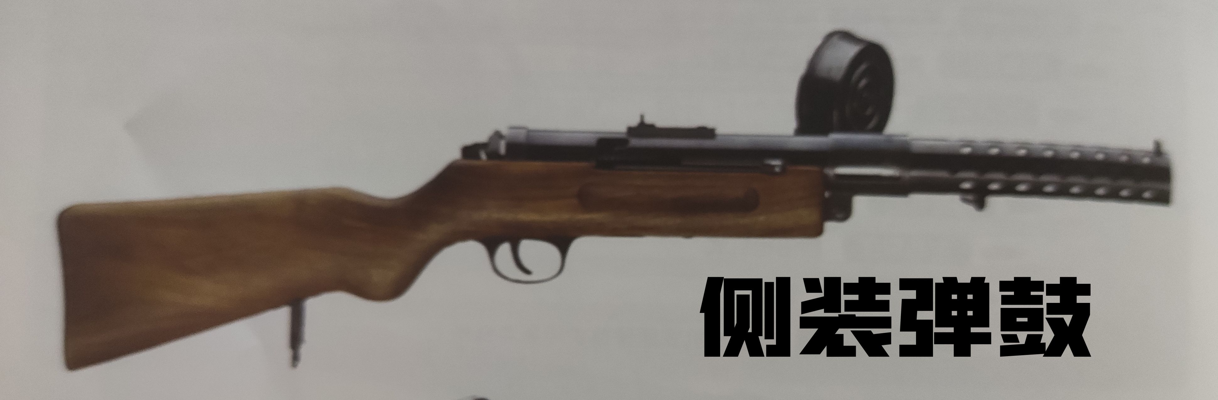 英国枪史图册全篇,德国枪图片