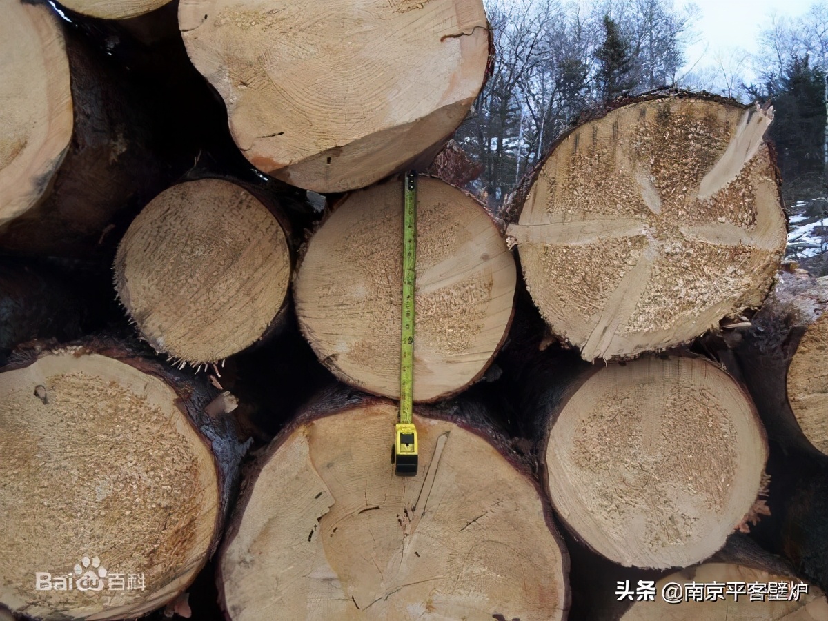 真火壁炉适合什么木材,真火壁炉燃料