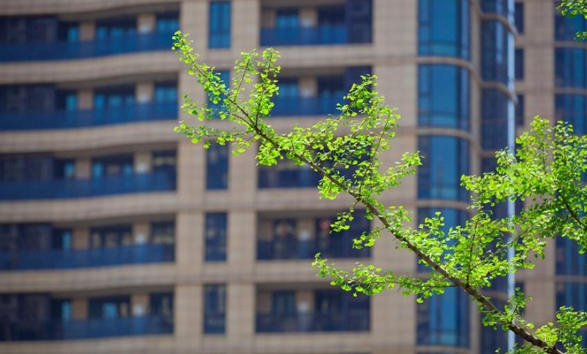 10年前楼盘怎么样了,九堡十年前的房价