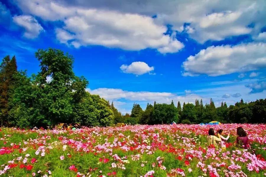 上海地铁沿线景点全部免费,上海地铁11号线上海赛车场