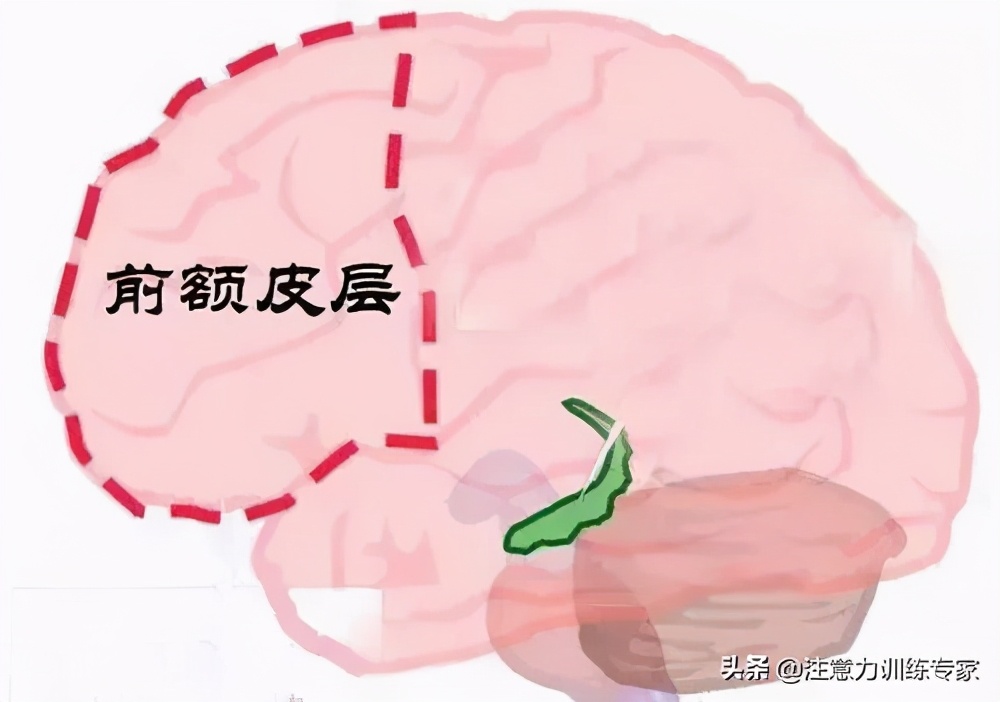 怎么解决小孩子上课走神的问题,10岁孩子老是溜号走神怎么办