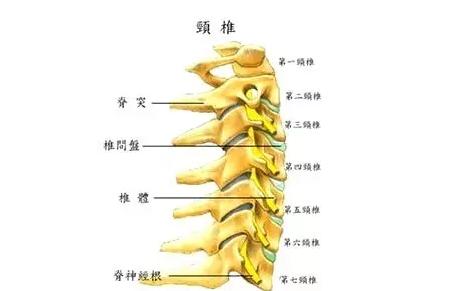 脖子颈椎受凉引起的疼怎么缓解,受凉颈椎痛和肩膀痛怎么缓解