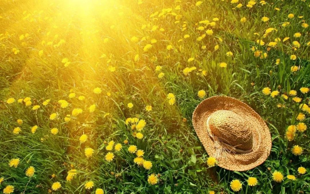 中医怎么治疗焦虑抑郁心理疾病,心理治疗抑郁最好的方法