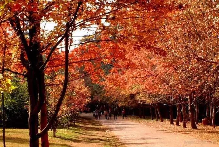 上海厉害了,厉害了上海