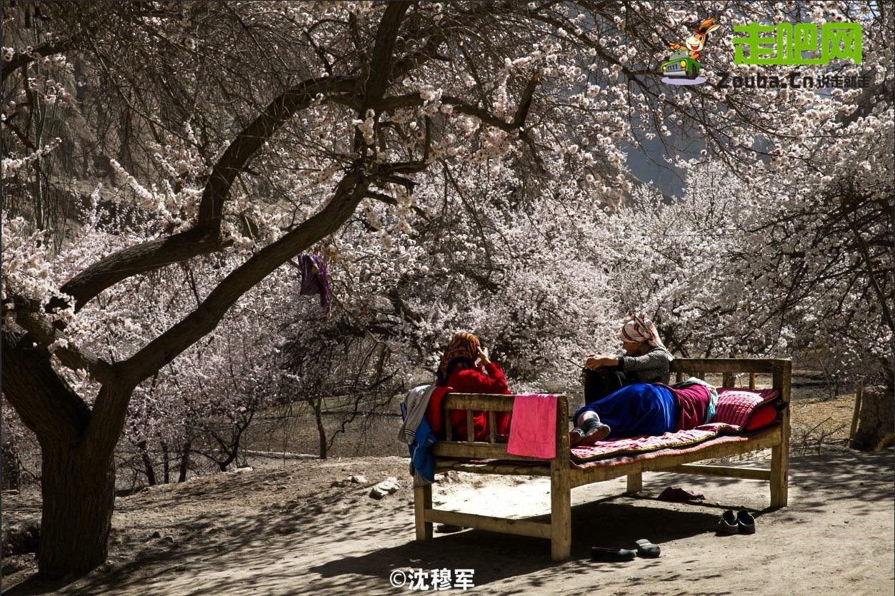 你永远不会体会到*疆新**公路的风情万种，除非你亲自自驾到那里！