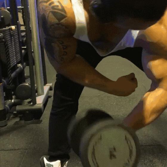 健身粉和肌酸哪个好,肌酸和健肌粉哪款比较好