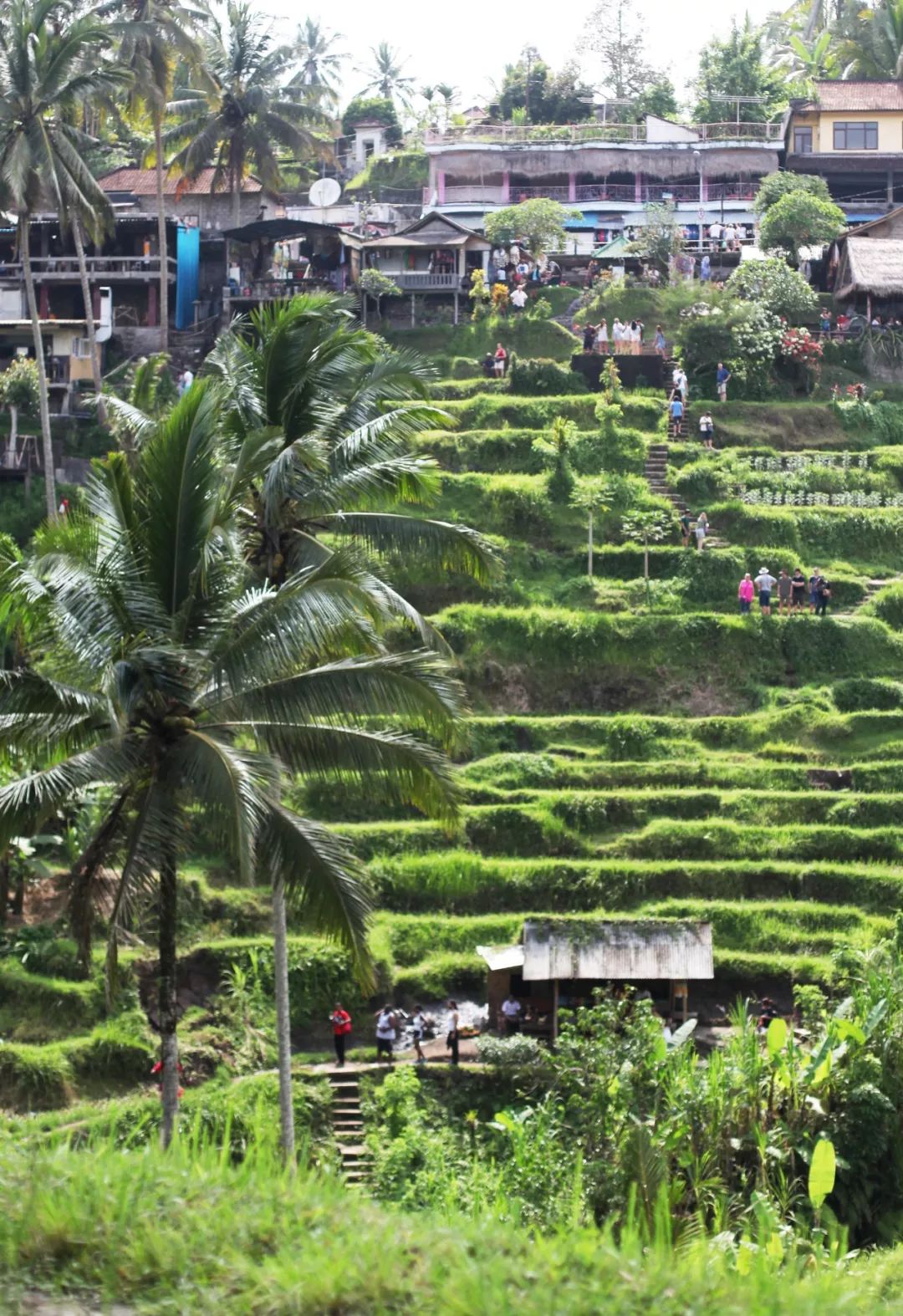 去哪些海岛游玩比较好,巴厘岛海岛哪个最好玩儿