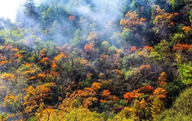西安自驾秦岭秋色最好的地方,西安自驾一日游的绝佳去处秦岭