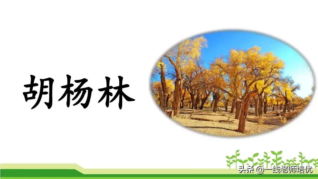 二年级上册语文园地七展示台教学,二年级上册语文园地七的日积月累