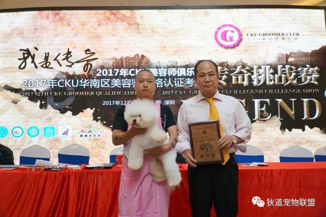 深圳口碑最好的成人教育培训机构,深圳十大成人教育培训机构排名榜