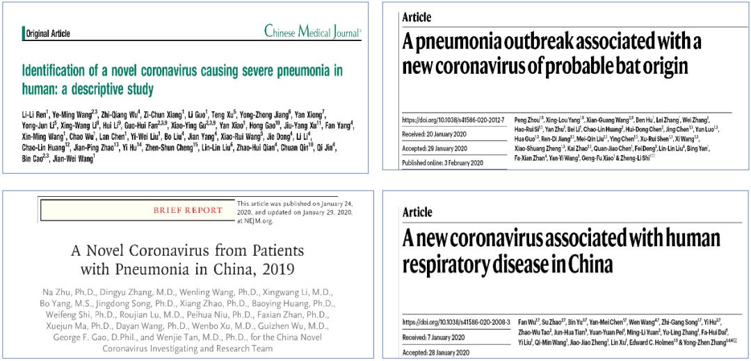 中医科学院任丽丽,任丽丽