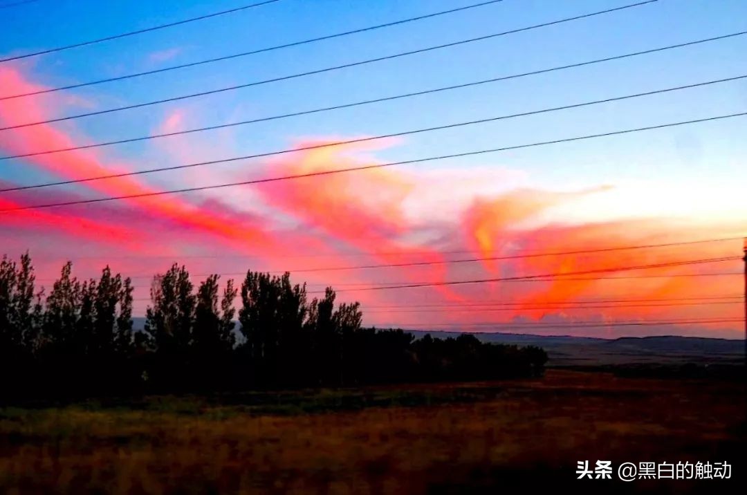 都说新疆好去新疆发展可靠么,都说新疆好地方