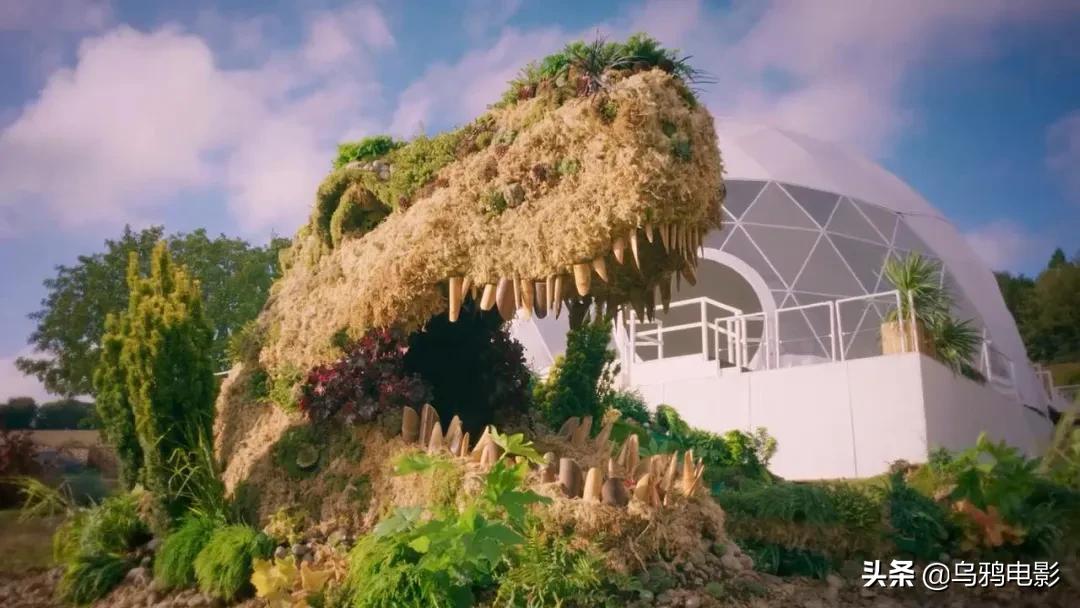 这也能拍出花?网飞又开挂了,每集都让我惊掉下巴